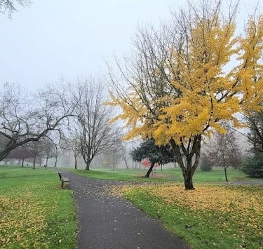 Roseburg - Stewart Park has nature trails & activities like disc golf, tennis, skate park & more