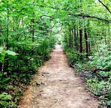 Hixson/Chattanooga - 6 miles of nature trails at Greenway Farms Park