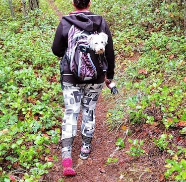 Waterfall Hwy, OR - My daughter walking in front with my dog in a backpack on the Wolf Creek Falls t
