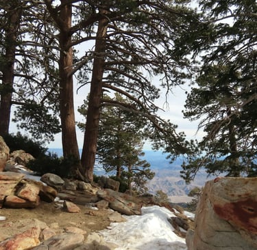 Palm Springs, CA - Up the Aerial Tram on top of San Jacinto mountain