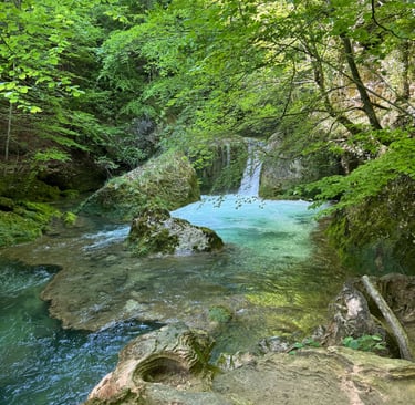A scenic turquoise waterfall flowing into a clear forest pool surrounded by lush green trees and mossy rocks.