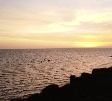 amanecer río de la plata stand up paddle remada 