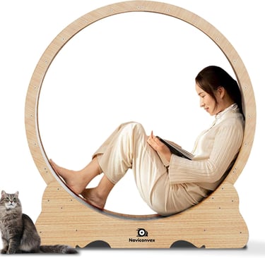 Katzenlaufrad für Bewegung bei Katzenbetreuung in der Wohnung