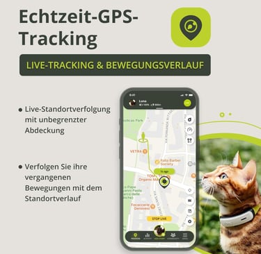 Katzentracking bei der Katzenbetreuung