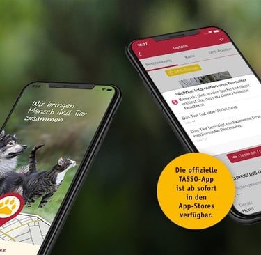Notfallkontakt Tasso Tierregister, bitte registrieren Sie ihr Tier.