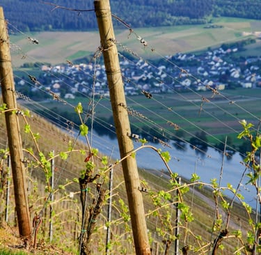 Our history on the Moselle Valley
