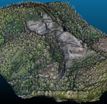 Immagine di una nuvola di punti da rilievo Lidar