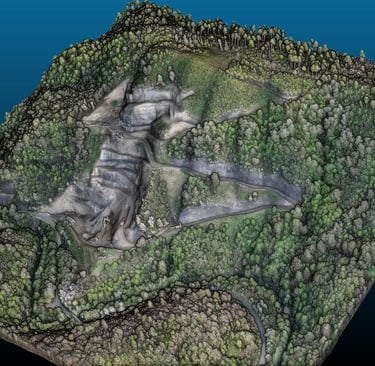 Nuvola di punti da rilievo Lidar