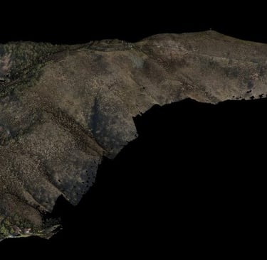 nuvola di punti lidar di area boscata