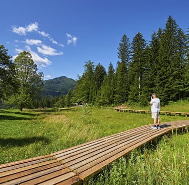 a man walking on a wooden bridge over a grassy area