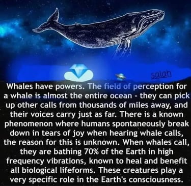 Power of whales