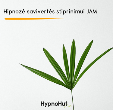 Hipnozė savivertės stiprinimui JAM