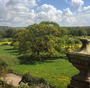 Close up of one of the four stone urns on the roof of Soulton Hall, with views across to Hawkestone