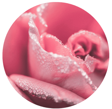 floralfragrancesatfloraandfaunabyasmara