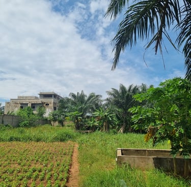 Ferme d'Emmaüs Pahou