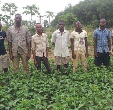 Les jeunes de la ferme d'Emmaüs Pahou qui participent à un programme de réinsertion sociale et pro