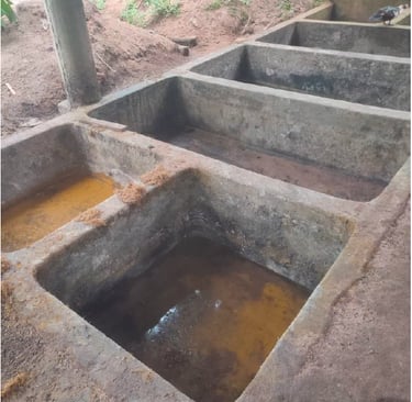 Bassins de transformations des noix, en huile de palme