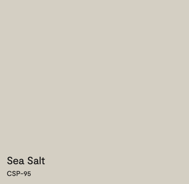 sea salt csp-95 daeco painting