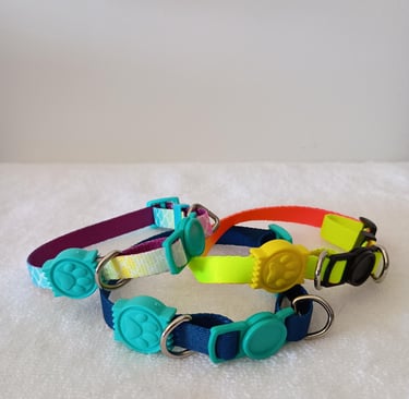 coleiras para cachorros pequenos