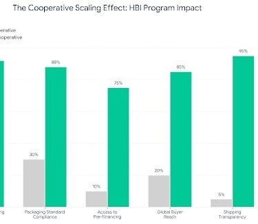 Bar chart comparing Traditional vs HBI-Certified performance in trade readiness, showing a 95% boost in shipping transparency