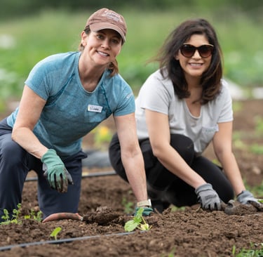 Two women smile while planting seedlings in a garden, showcasing teamwork, community engagement