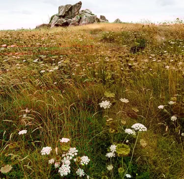 nature maritime bretonne