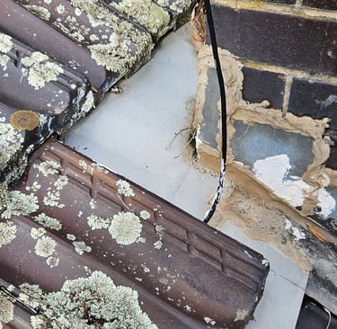 Gutter clearing, Basic roof maintenance, Landscaping, Lawn mowing, edging & all Gardening services