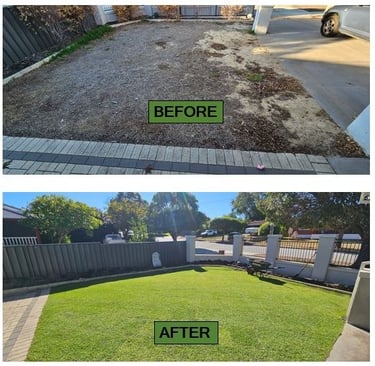 Landscaping completely newly laid kikuyu lawn before & after