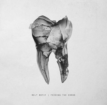 Melt Motif - Feeding the Error