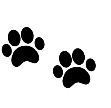 Pawsome
