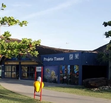 Projeto Tamar