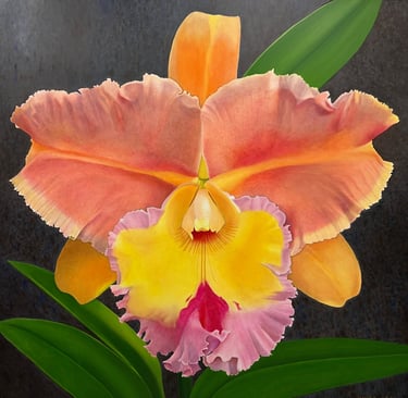 Luminous Monumental Orange Cattleya by Christine Knize, master of glazing