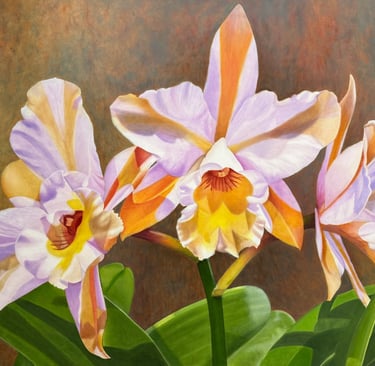 Lavender abd Orange Cattleya