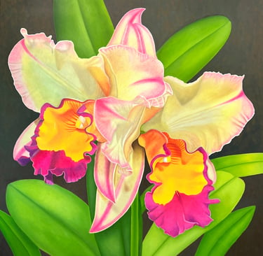 Large scale contemporary botanical art by Christine Knize MFA RISD,double yellow and Fuchsia Orchid