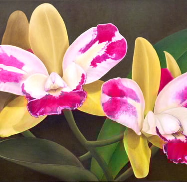 Fuchsia and Yellow Cattleya