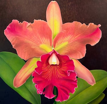 Fuchsia Cattleya