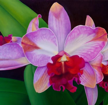 Fuchsia Orchid