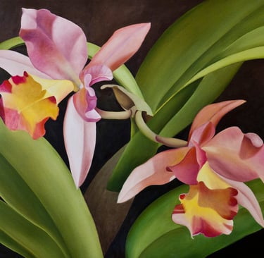 Pink and Green Cattleya