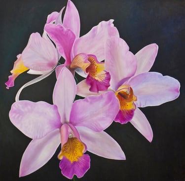 Purple Foursome Cattleya Cluster