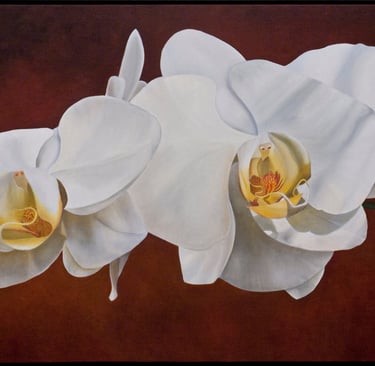 White Phal Sprig