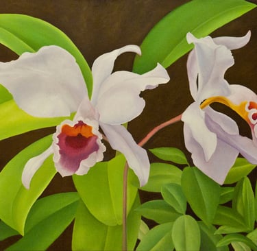 Lavender Cattleya with Orange Lips