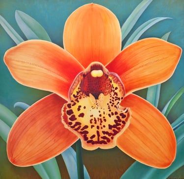 Orange Cattleya