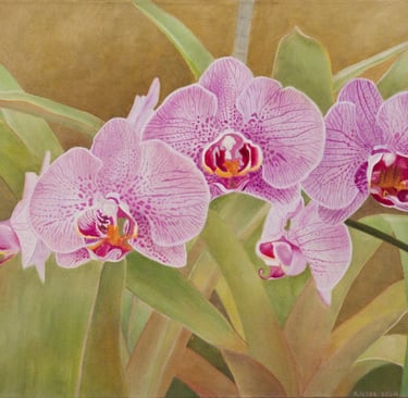 Phal Fiesta