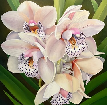 Pink Cymbidium