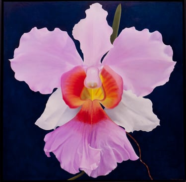 Pink White and Orange Cattleya