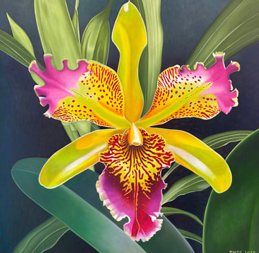 Large-scale orchid painting by Christine Knize,Orchidelirium series,72 x72, contemporary realism
