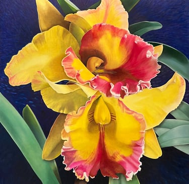 Yellow and Fuchsia Double Cattleya