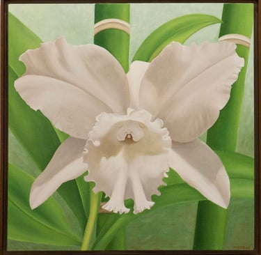 White Phal with Bamboo