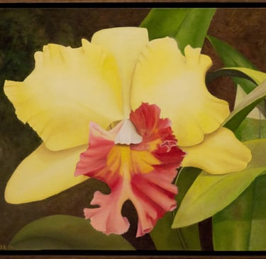 Yellow Cattleya with Fuchsia 