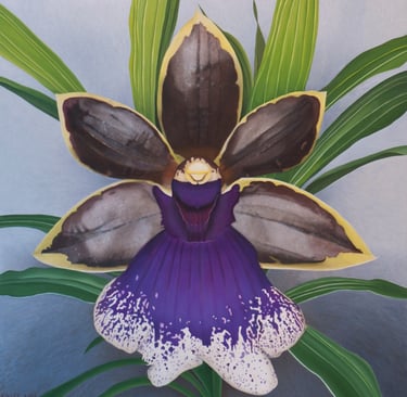 Purple and Brown Zygopetalum